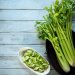 4 Reasons to Add Celery to Your Weight Loss Plan